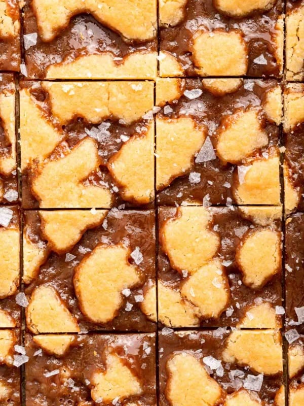 Macro image of sliced caramel bars decorated with sea salt flakes.
