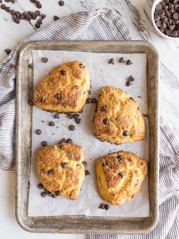 chocolate chip scones