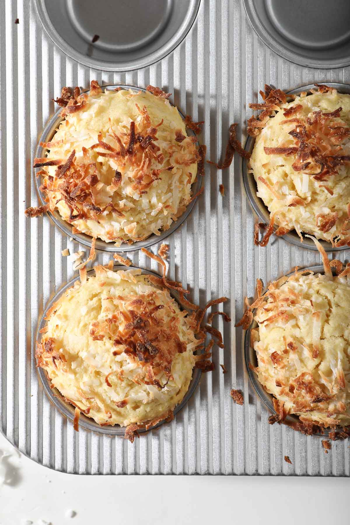 Coconut muffins in muffin pan, fresh out of the oven.