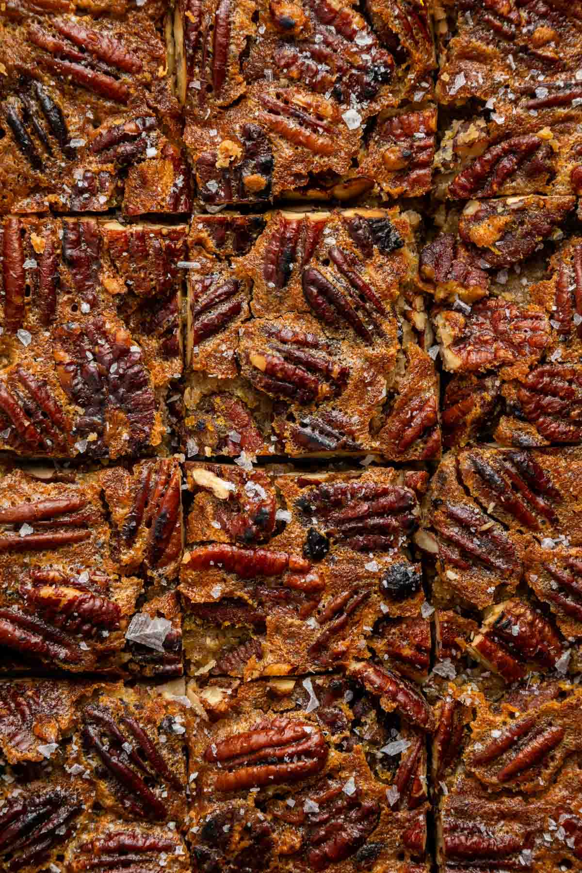 Macro overhead image of pecan pie bars cut into squares.