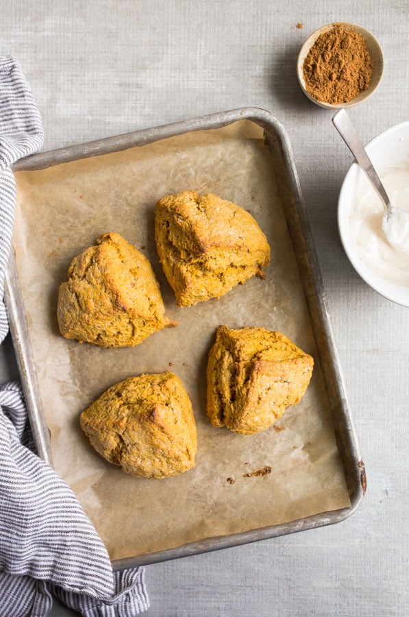 pumpkin-scones Delicious pumpkin scones recipe, just like Starbucks