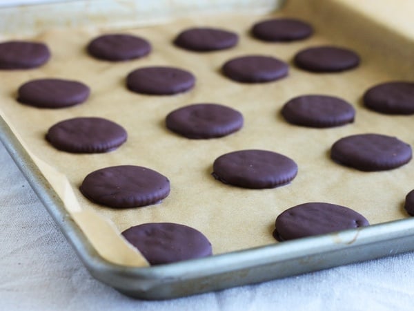 Homemade Thin Mints